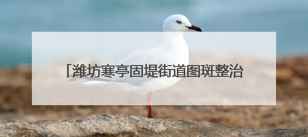 潍坊寒亭固堤街道图斑整治零容忍，耕地保护见真章