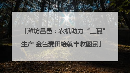潍坊昌邑：农机助力“三夏”生产 金色麦田绘就丰收图景