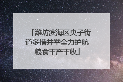 潍坊滨海区央子街道多措并举全力护航粮食丰产丰收
