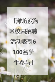 潍坊滨海区校园招聘活动吸引6100名学生参与
