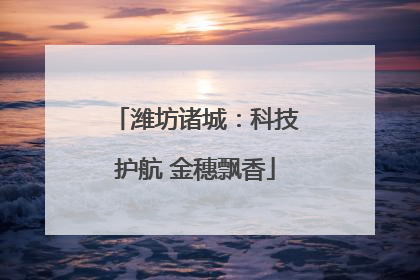 潍坊诸城：科技护航 金穗飘香
