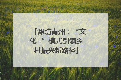 潍坊青州：“文化+”模式引领乡村振兴新路径