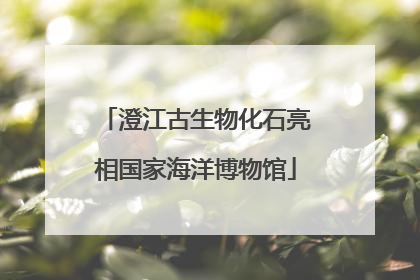 澄江古生物化石亮相国家海洋博物馆