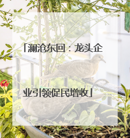 澜沧东回：龙头企业引领促民增收