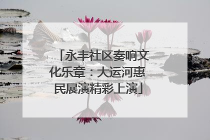 永丰社区奏响文化乐章：大运河惠民展演精彩上演