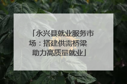 永兴县就业服务市场：搭建供需桥梁 助力高质量就业