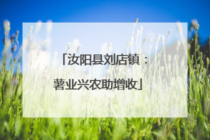 汝阳县刘店镇：薯业兴农助增收