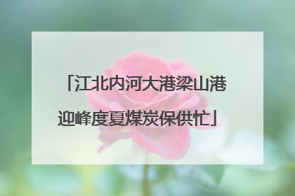 江北内河大港梁山港迎峰度夏煤炭保供忙