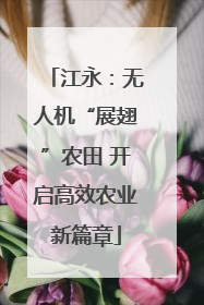 江永：无人机“展翅”农田 开启高效农业新篇章