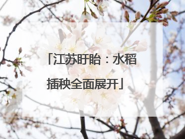 江苏盱眙：水稻插秧全面展开