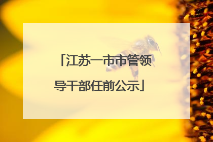 江苏一市市管领导干部任前公示