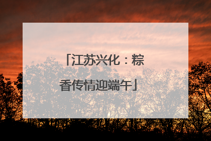 江苏兴化：粽香传情迎端午