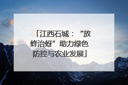 江西石城：“放蜂治蚜”助力绿色防控与农业发展