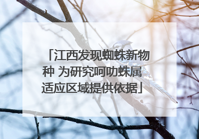 江西发现蜘蛛新物种 为研究呵叻蛛属适应区域提供依据