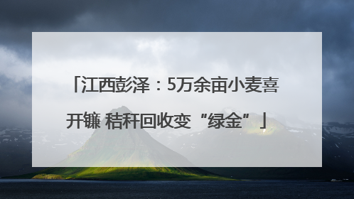 江西彭泽：5万余亩小麦喜开镰 秸秆回收变“绿金”