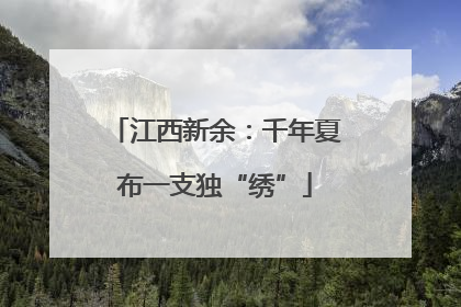 江西新余：千年夏布一支独“绣”