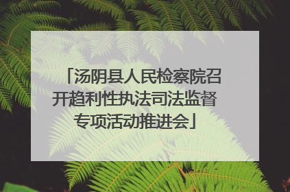 汤阴县人民检察院召开趋利性执法司法监督专项活动推进会