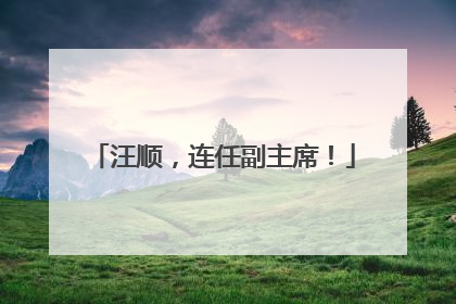 汪顺，连任副主席！
