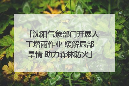 沈阳气象部门开展人工增雨作业 缓解局部旱情 助力森林防火