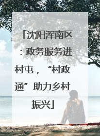 沈阳浑南区：政务服务进村屯，“村政通”助力乡村振兴
