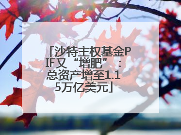 沙特主权基金PIF又“增肥”：总资产增至1.15万亿美元
