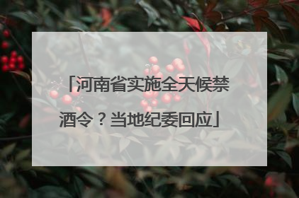 河南省实施全天候禁酒令？当地纪委回应