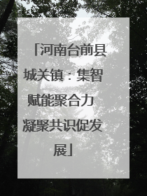 河南台前县城关镇：集智赋能聚合力 凝聚共识促发展