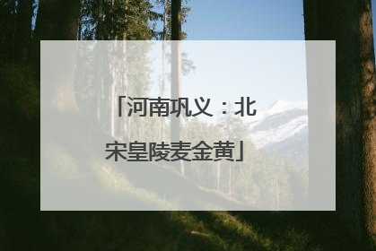 河南巩义：北宋皇陵麦金黄