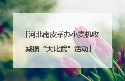 河北南皮举办小麦机收减损“大比武”活动