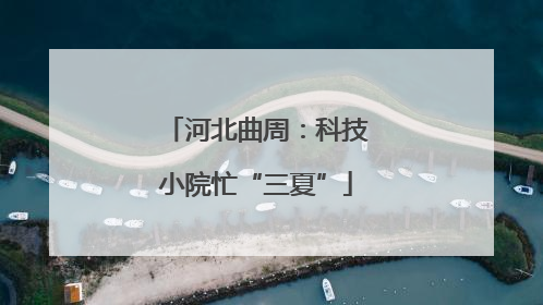 河北曲周：科技小院忙“三夏”