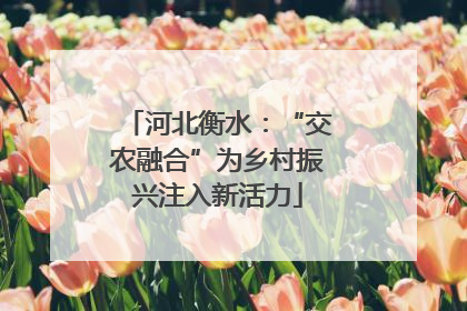河北衡水：“交农融合”为乡村振兴注入新活力