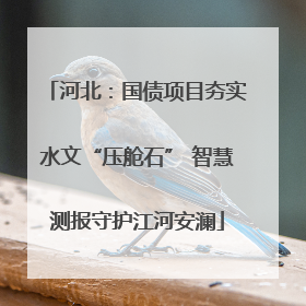 河北：国债项目夯实水文“压舱石” 智慧测报守护江河安澜