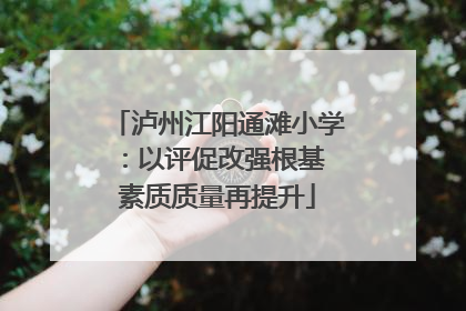 泸州江阳通滩小学：以评促改强根基 素质质量再提升