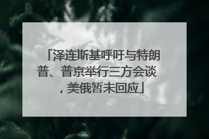 泽连斯基呼吁与特朗普、普京举行三方会谈，美俄暂未回应
