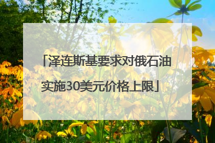 泽连斯基要求对俄石油实施30美元价格上限