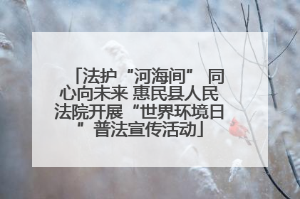 法护“河海间” 同心向未来 惠民县人民法院开展“世界环境日”普法宣传活动