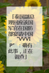 泰国副总理回应该国军官在国防部宴请中国“VVVIP”：确有此事，正在调查