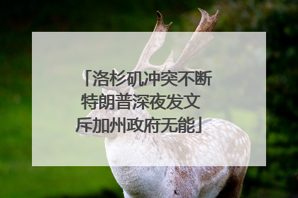 洛杉矶冲突不断 特朗普深夜发文斥加州政府无能