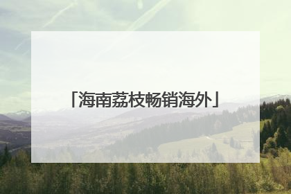 海南荔枝畅销海外