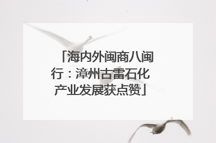海内外闽商八闽行：漳州古雷石化产业发展获点赞