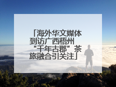 海外华文媒体到访广西梧州 “千年古郡”茶旅融合引关注