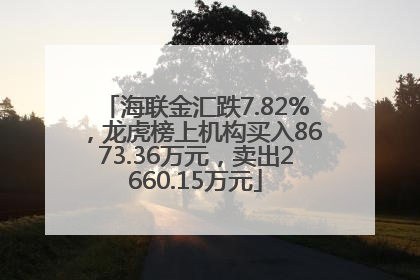 海联金汇跌7.82%，龙虎榜上机构买入8673.36万元，卖出2660.15万元