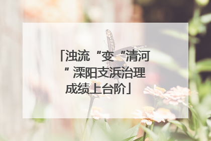 浊流“变“清河“ 溧阳支浜治理成绩上台阶