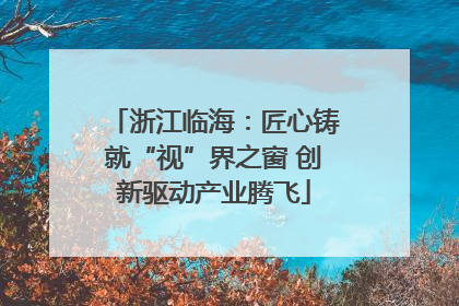 浙江临海：匠心铸就“视”界之窗 创新驱动产业腾飞