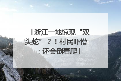 浙江一地惊现“双头蛇”？！村民吓懵：还会倒着爬