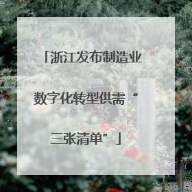 浙江发布制造业数字化转型供需“三张清单”