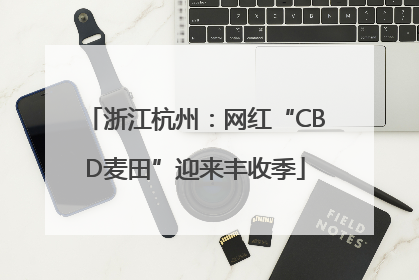 浙江杭州：网红“CBD麦田”迎来丰收季