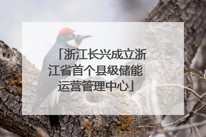 浙江长兴成立浙江省首个县级储能运营管理中心