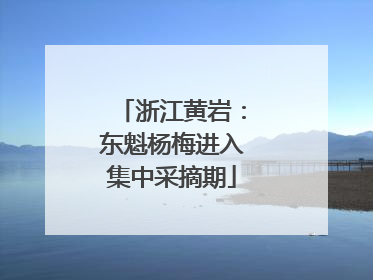 浙江黄岩：东魁杨梅进入集中采摘期