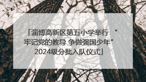 淄博高新区第五小学举行 “牢记党的教导 争做强国少年”2024级分批入队仪式
